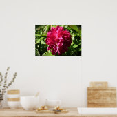 Peony Poster (Keuken)