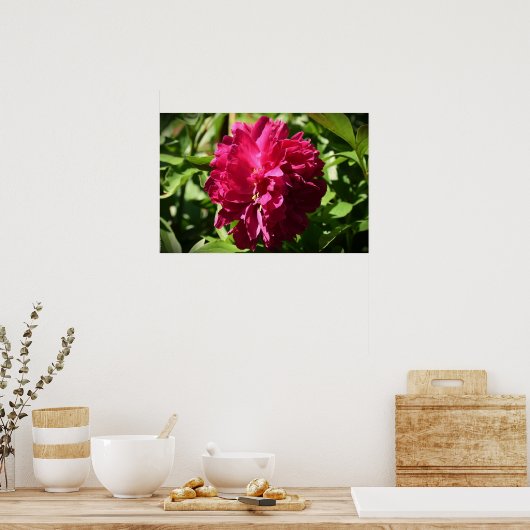 Peony Poster (Keuken)