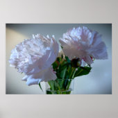 Peony Poster (Voorkant)
