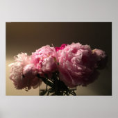 Peony Poster (Voorkant)