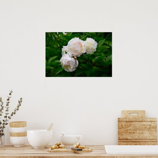Peony Poster (Keuken)