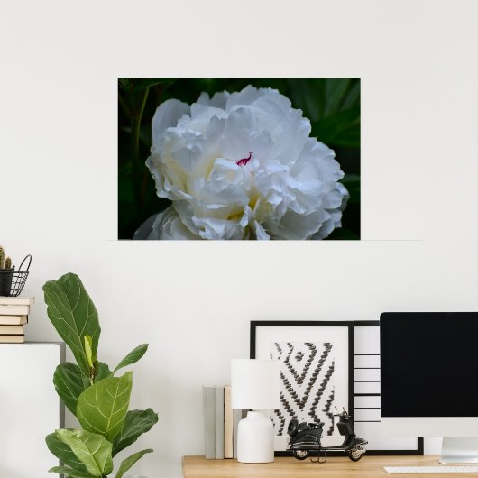 Peony Poster (Thuiskantoor)