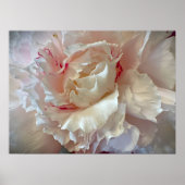 Peony Poster (Voorkant)