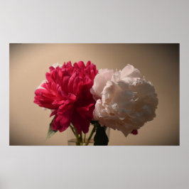 Peony Poster