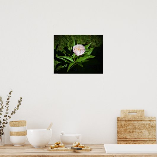 Peony Poster (Keuken)