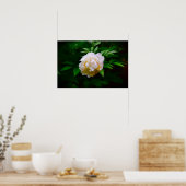 Peony Poster (Keuken)