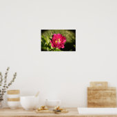 Peony Poster (Keuken)