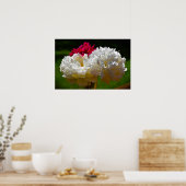 Peony Poster (Keuken)