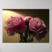 Peony Poster (Voorkant)