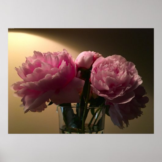 Peony Poster (Voorkant)