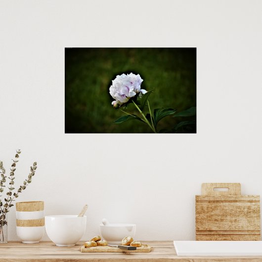 Peony Poster (Keuken)