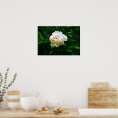 Peony Poster (Keuken)