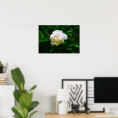 Peony Poster (Thuiskantoor)