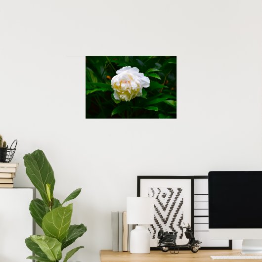 Peony Poster (Thuiskantoor)