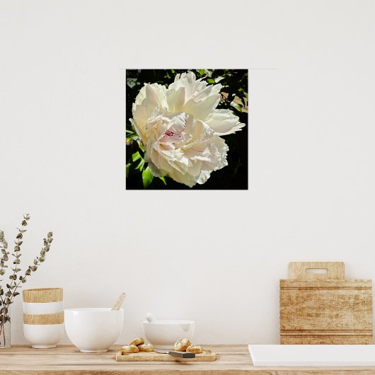 Peony Poster (Keuken)