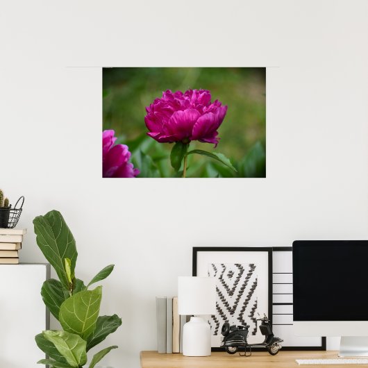 Peony Poster (Thuiskantoor)