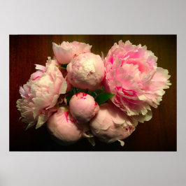 Peony Poster