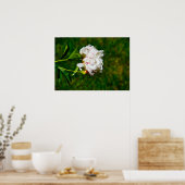 Peony Poster (Keuken)