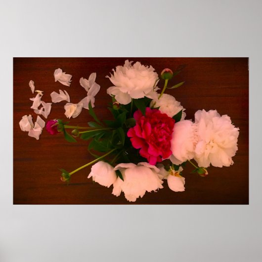 Peony Poster (Voorkant)