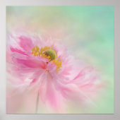 Peony Poster (Voorkant)