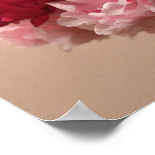 Peony Poster (Hoek)