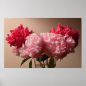 Peony Poster (Voorkant)
