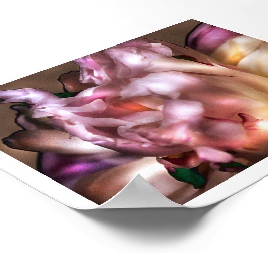 Peony Poster (Hoek)
