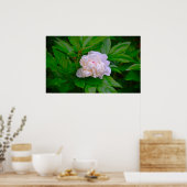 Peony Poster (Keuken)