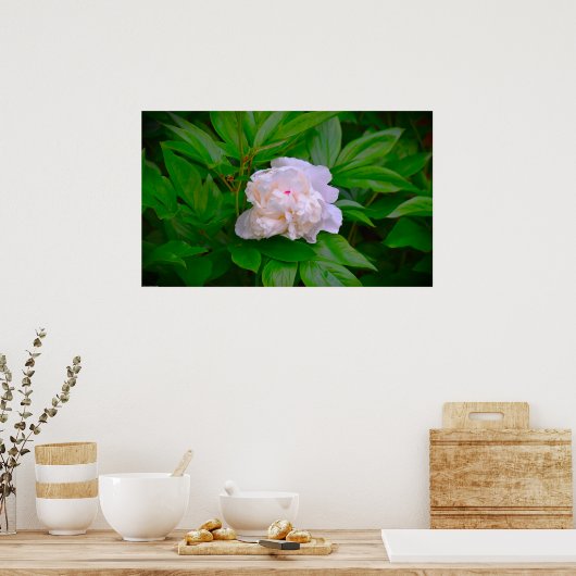 Peony Poster (Keuken)