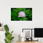Peony Poster (Thuiskantoor)