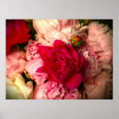 Peony Poster (Voorkant)