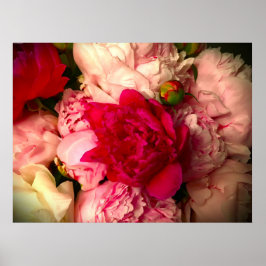Peony Poster