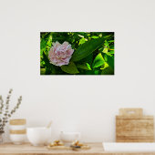 Peony Poster (Keuken)
