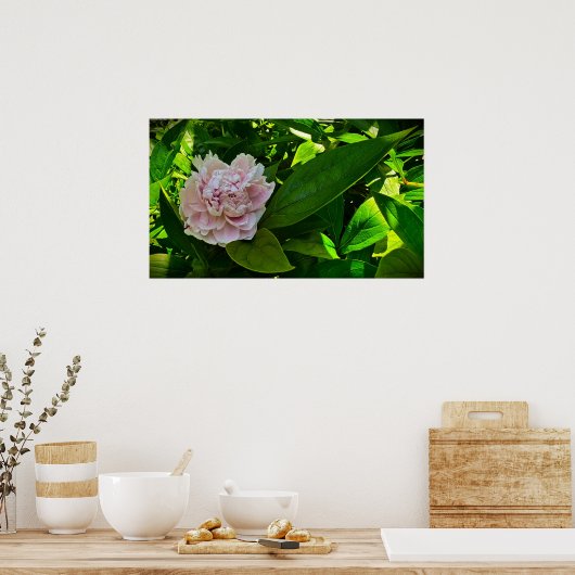 Peony Poster (Keuken)