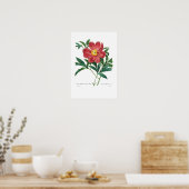 Peony Poster (Keuken)