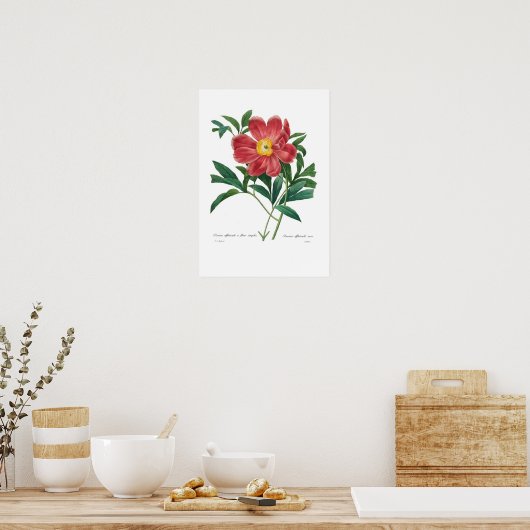 Peony Poster (Keuken)