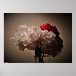 Peony Poster