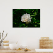 Peony Poster (Keuken)