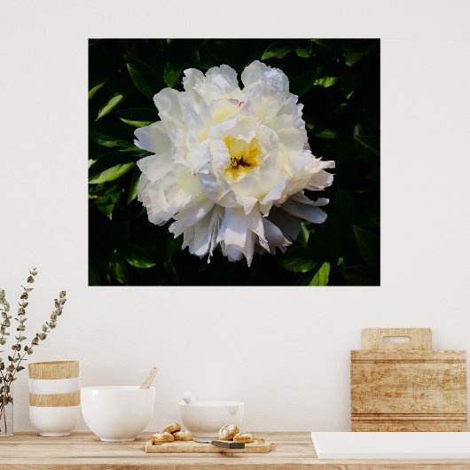 Peony Poster (Keuken)