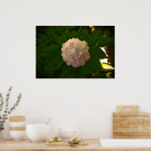 Peony Poster (Keuken)