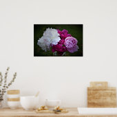 Peony Poster (Keuken)
