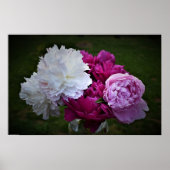 Peony Poster (Voorkant)