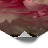 Peony Poster (Hoek)