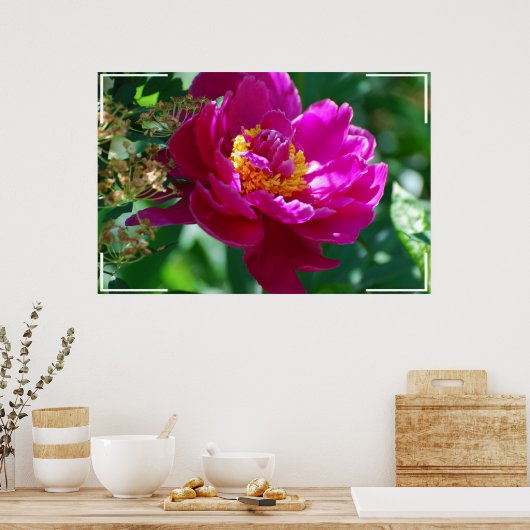 Peony Poster (Keuken)