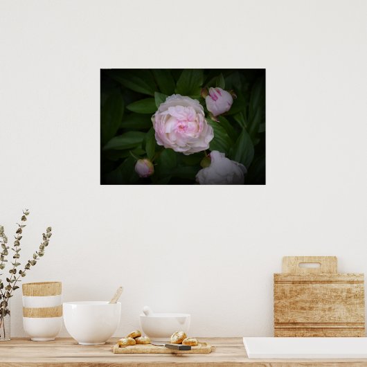Peony Poster (Keuken)