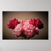Peony Poster (Voorkant)