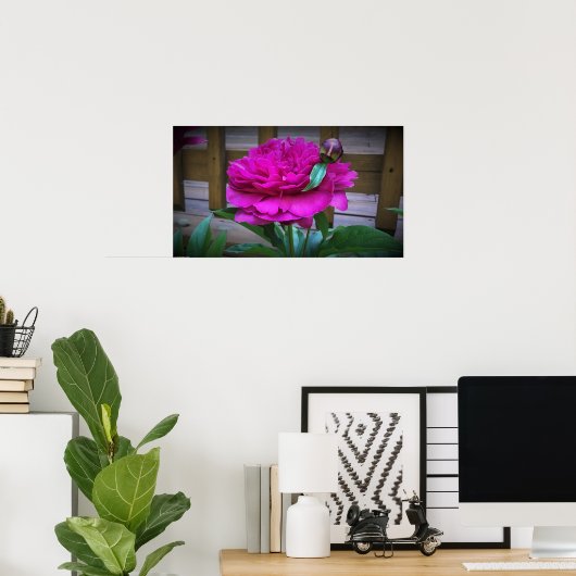 Peony Poster (Thuiskantoor)
