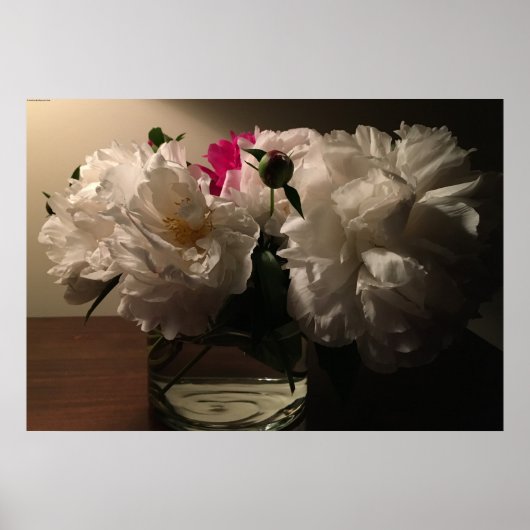 Peony Poster (Voorkant)