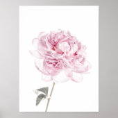 Peony print Peony Wall Art Fine Art fotografie (Voorkant)