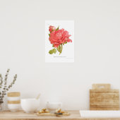 Peony 'Reine Elizabeth' Poster (Keuken)
